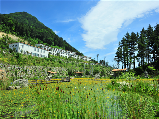 [포항영일만신항] 울릉도 독도4일 ＜대형크루즈/선박텔/라페루즈리조트/육로A,B코스/올식사포함＞