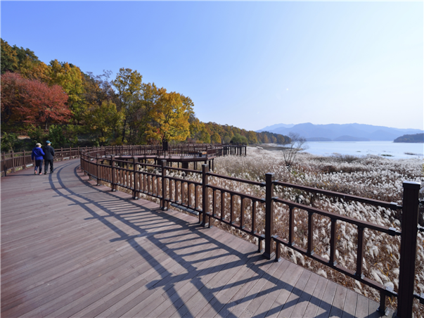 [집중모객]충청도 대전 당일여행 ＜지자제지원특가/장태산휴양림＞