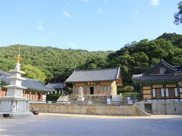 [2인부터단독행사][서해금빛열차+예산관광택시] 충청도 예산 당일여행