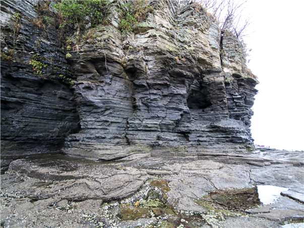 전라도 부안 당일여행 ＜자연이 빚은 변산반도＞