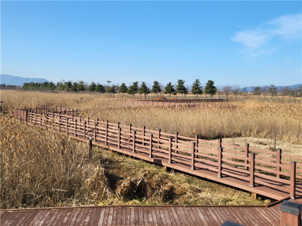 전라도 부안 당일여행 ＜자연이 빚은 변산반도＞