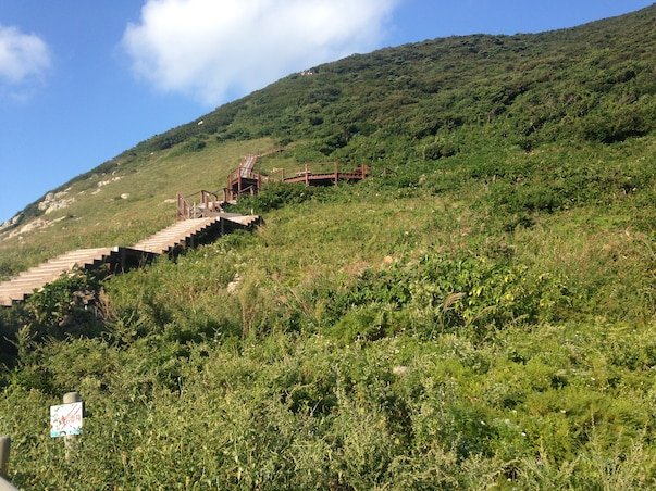 [SRT/목포항] 홍도 흑산도 비금도초도 3일 ＜쾌속선/모텔급/홍도유람선/비금도초도 육로관광＞