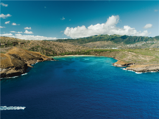 [슬림][관광1일+자유4일] 특급 트윈핀 (구.애스톤와이키키비치) ＜파셜오션뷰＞ 하와이 7일