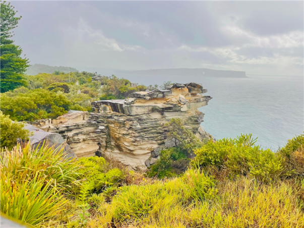 [출발확정] [노쇼핑/노옵션] 시드니 세미패키지 시내3성급 6일 (2일관광/자유일정보장/이비스시드니달링하버)