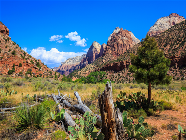 미서부 완전일주 10일 ＜라스1일자유일정 선택가능/4대캐년＞