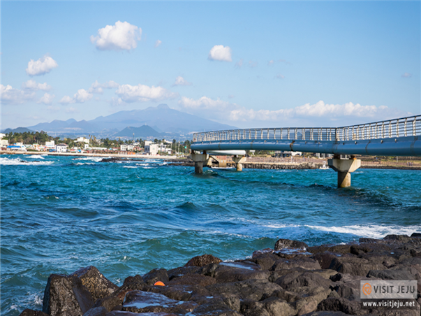 [부산출발][모두단독] 제주도 가족추천 3일 ＜노팁/노옵션/981파크/테마파크/4명부터출발확정＞