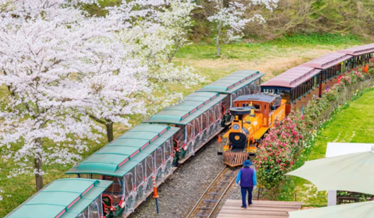 [골프72홀+핵심관광] 제주 힐링 파크골프 1박 2일